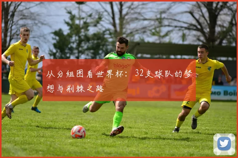 从分组图看世界杯:32支球队的梦想与荆棘之路