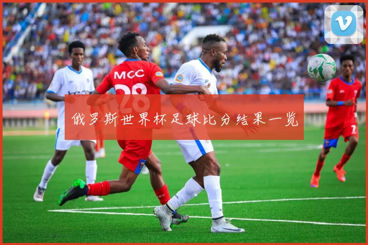 俄罗斯世界杯足球比分结果一览