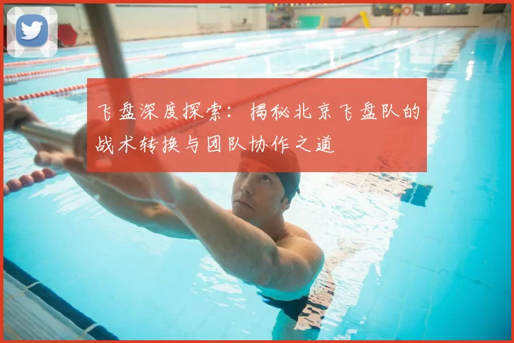 飞盘深度探索:揭秘北京飞盘队的战术转换与团队协作之道