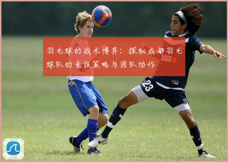 羽毛球的战术博弈:探秘成都羽毛球队的竞技策略与团队协作