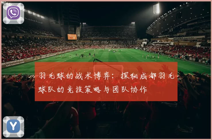 羽毛球的战术博弈:探秘成都羽毛球队的竞技策略与团队协作