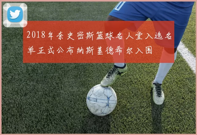 2018年奈史密斯篮球名人堂入选名单正式公布纳斯基德希尔入围