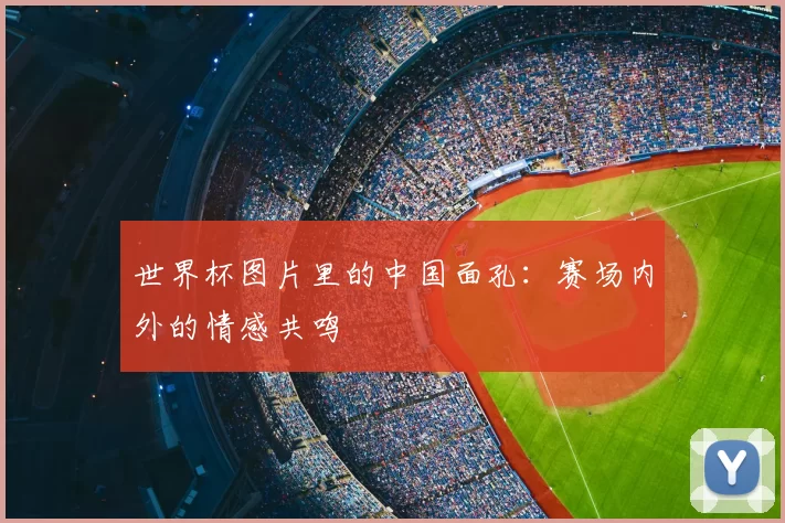 世界杯图片里的中国面孔：赛场内外的情感共鸣
