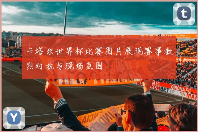 卡塔尔世界杯比赛图片展现赛事激烈对抗与现场氛围