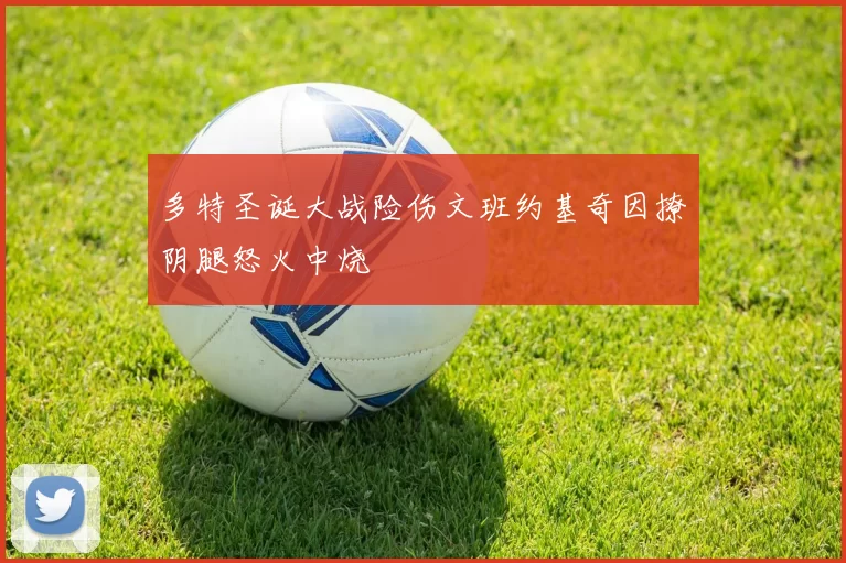 多特圣诞大战险伤文班约基奇因撩阴腿怒火中烧