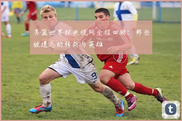 男篮世界杯央视网全程回顾：那些被遗忘的转折与英雄