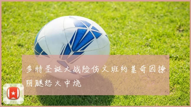 多特圣诞大战险伤文班约基奇因撩阴腿怒火中烧