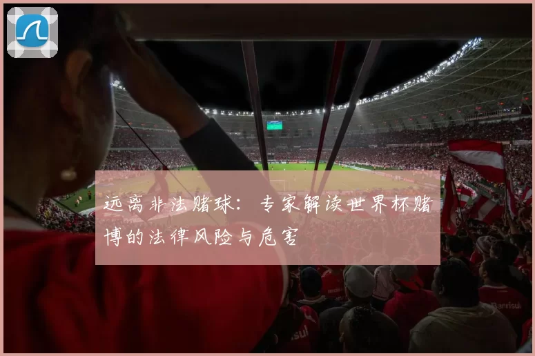 远离非法赌球：专家解读世界杯赌博的法律风险与危害