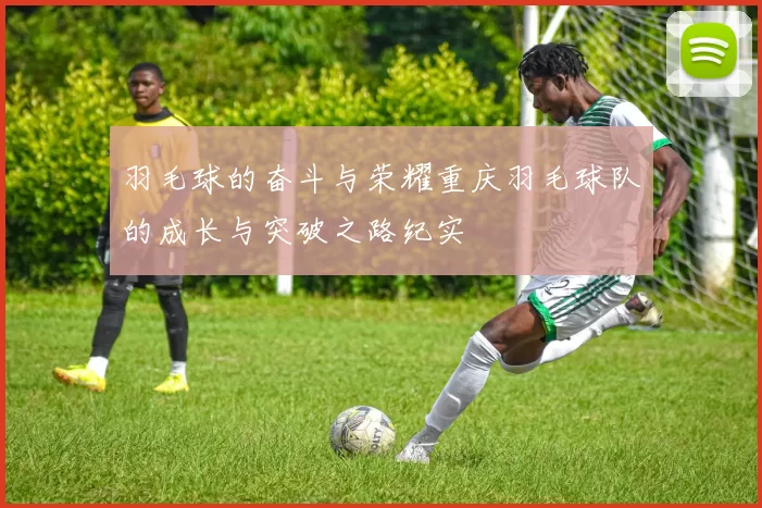 羽毛球的奋斗与荣耀重庆羽毛球队的成长与突破之路纪实