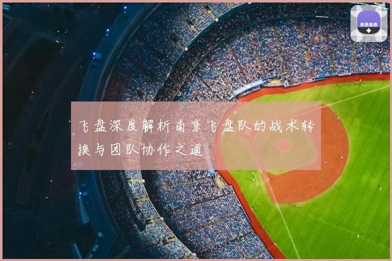 飞盘深度解析南京飞盘队的战术转换与团队协作之道