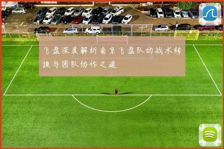 飞盘深度解析南京飞盘队的战术转换与团队协作之道