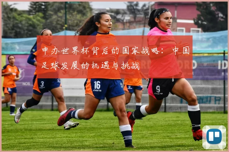 申办世界杯背后的国家战略:中国足球发展的机遇与挑战