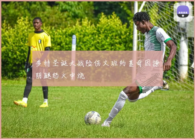 多特圣诞大战险伤文班约基奇因撩阴腿怒火中烧