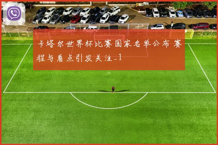 卡塔尔世界杯比赛国家名单公布 赛程与看点引发关注_1