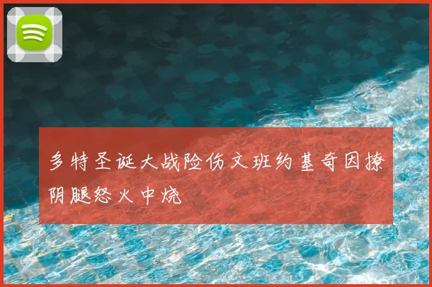 多特圣诞大战险伤文班约基奇因撩阴腿怒火中烧